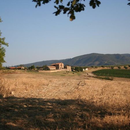 Agriturismo Podere Del Vescovo Montenero d'Orcia Dış mekan fotoğraf