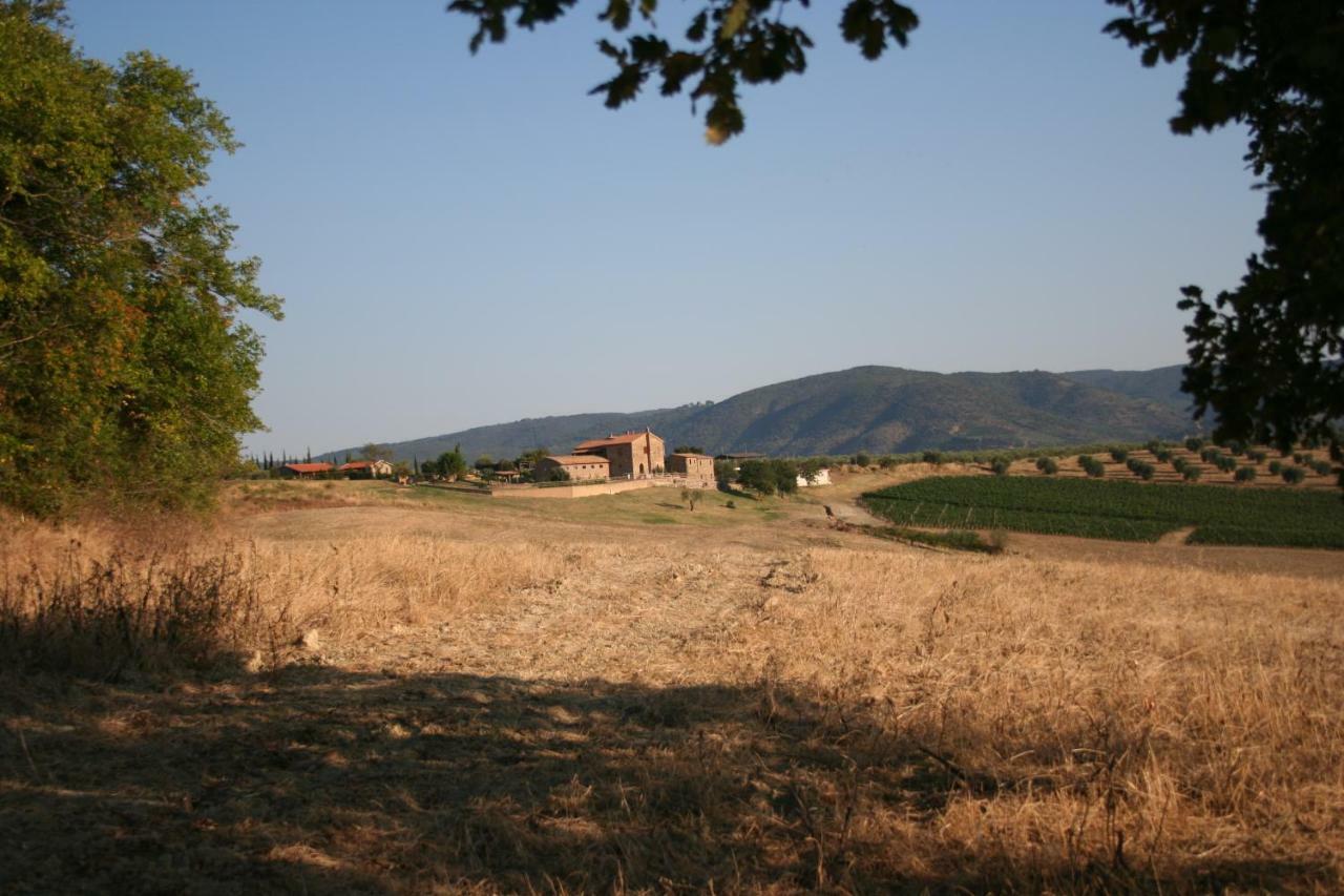 Agriturismo Podere Del Vescovo Montenero d'Orcia Dış mekan fotoğraf