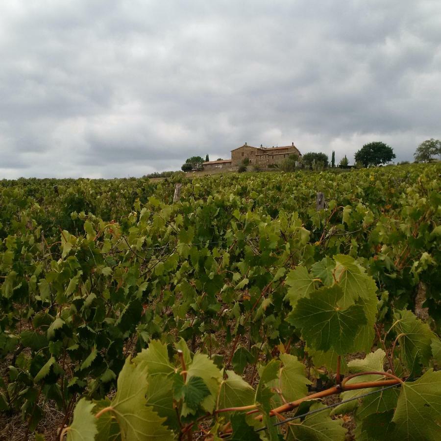 Agriturismo Podere Del Vescovo Montenero d'Orcia Dış mekan fotoğraf
