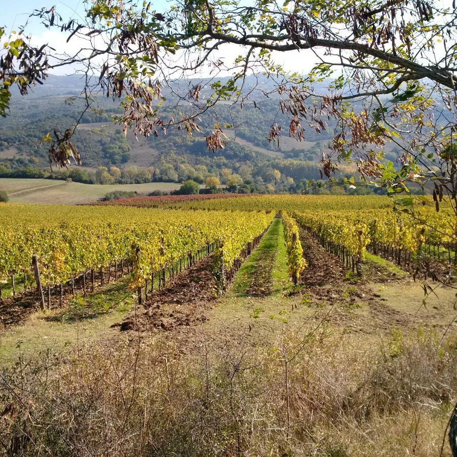 Agriturismo Podere Del Vescovo Montenero d'Orcia Dış mekan fotoğraf