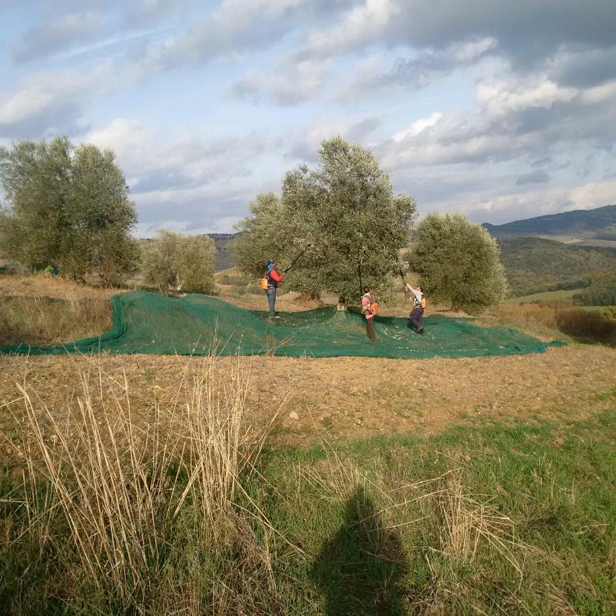 Agriturismo Podere Del Vescovo Montenero d'Orcia Dış mekan fotoğraf