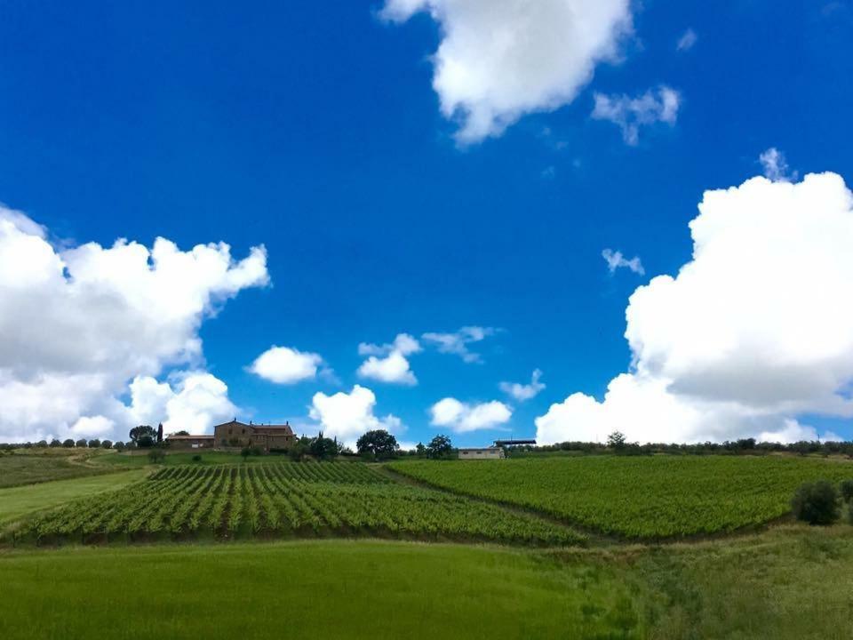 Agriturismo Podere Del Vescovo Montenero d'Orcia Dış mekan fotoğraf