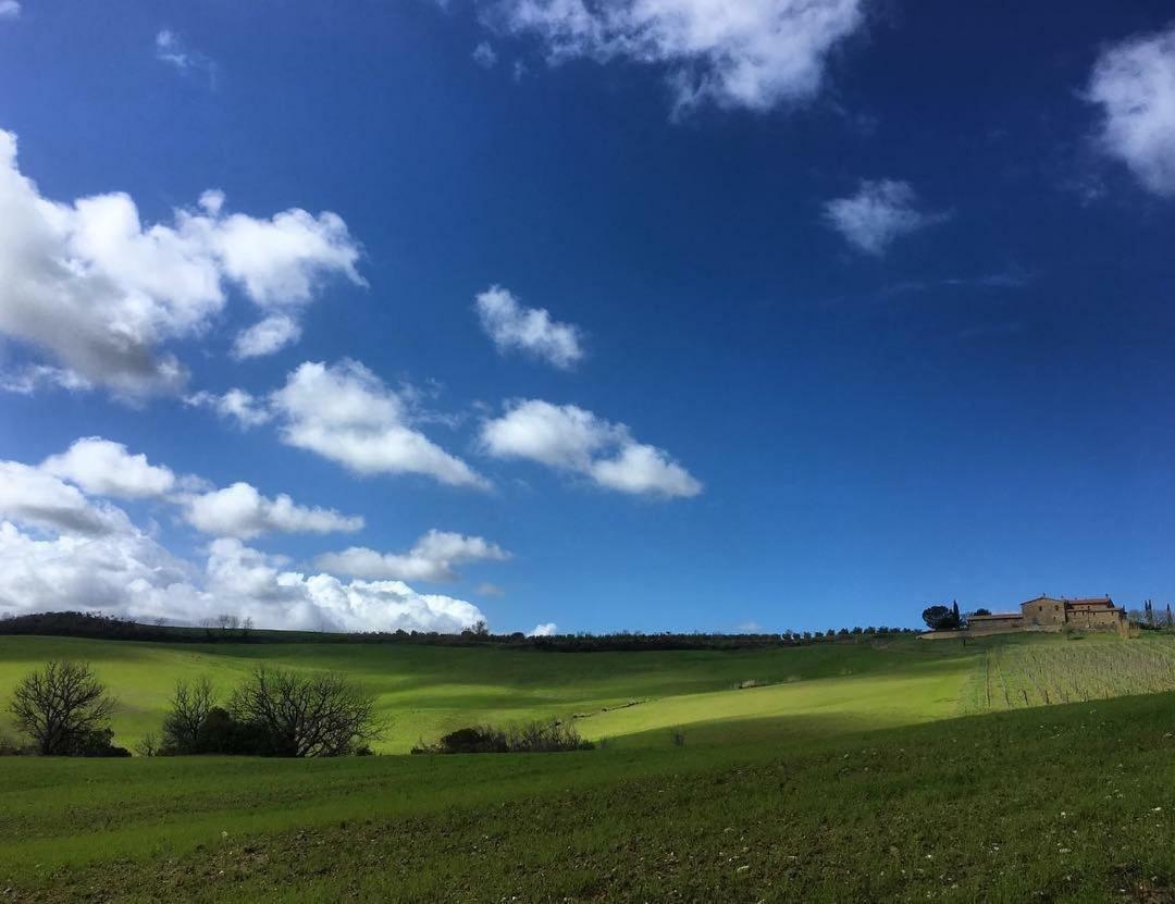 Agriturismo Podere Del Vescovo Montenero d'Orcia Dış mekan fotoğraf