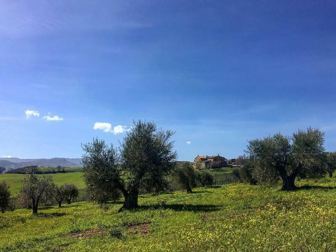 Agriturismo Podere Del Vescovo Montenero d'Orcia Dış mekan fotoğraf
